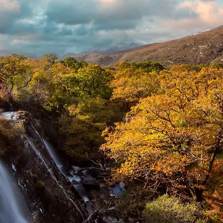 Heights קיל איירן