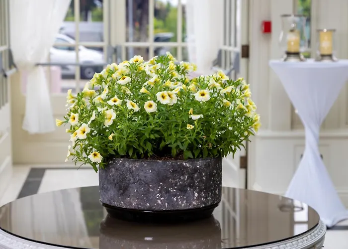 Отель Heights 4*