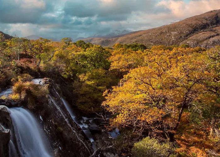 Heights Килларни